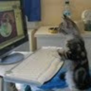 Meet your Posher, Lesley